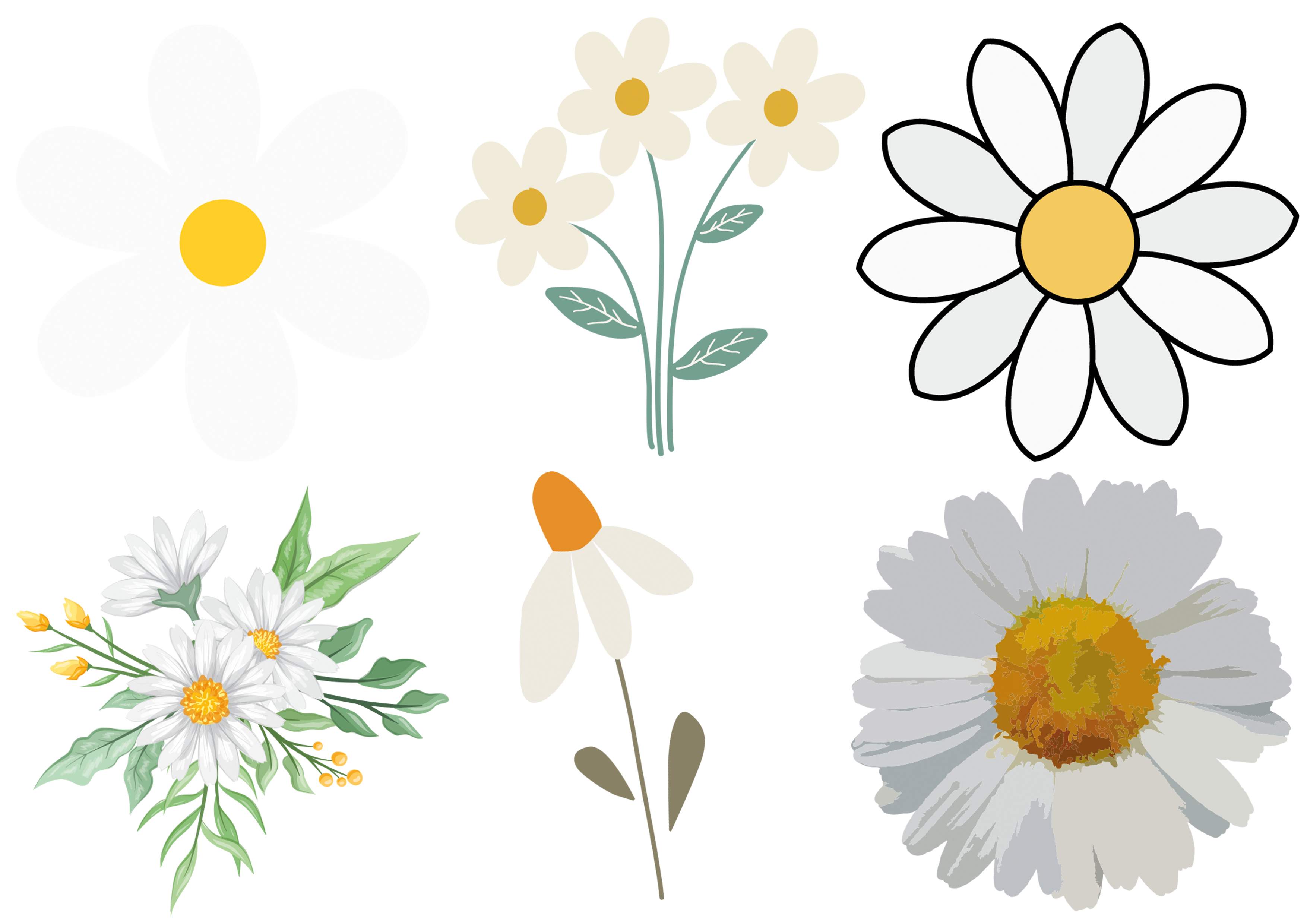 DISEÑO 60
