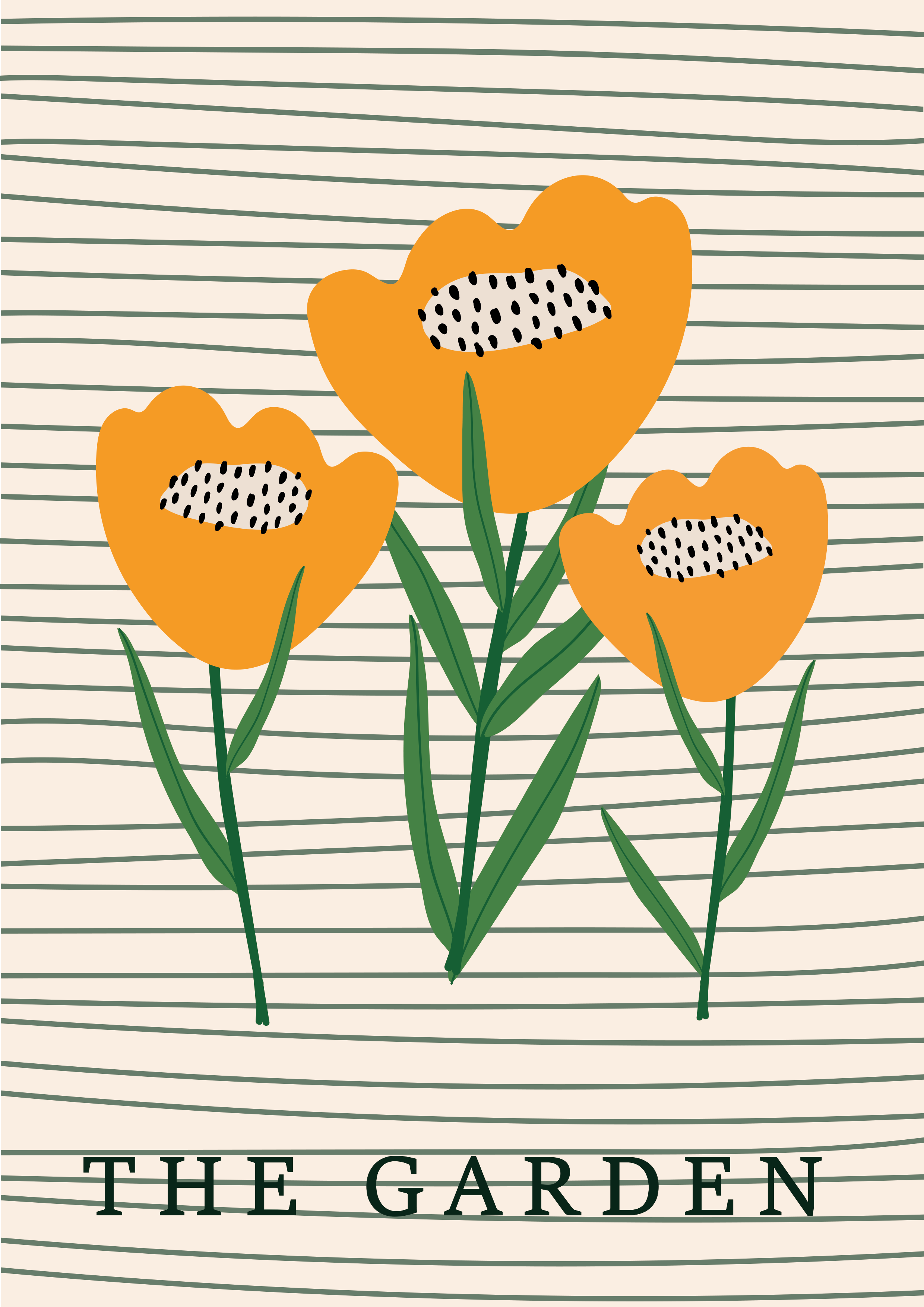 DISEÑO 50