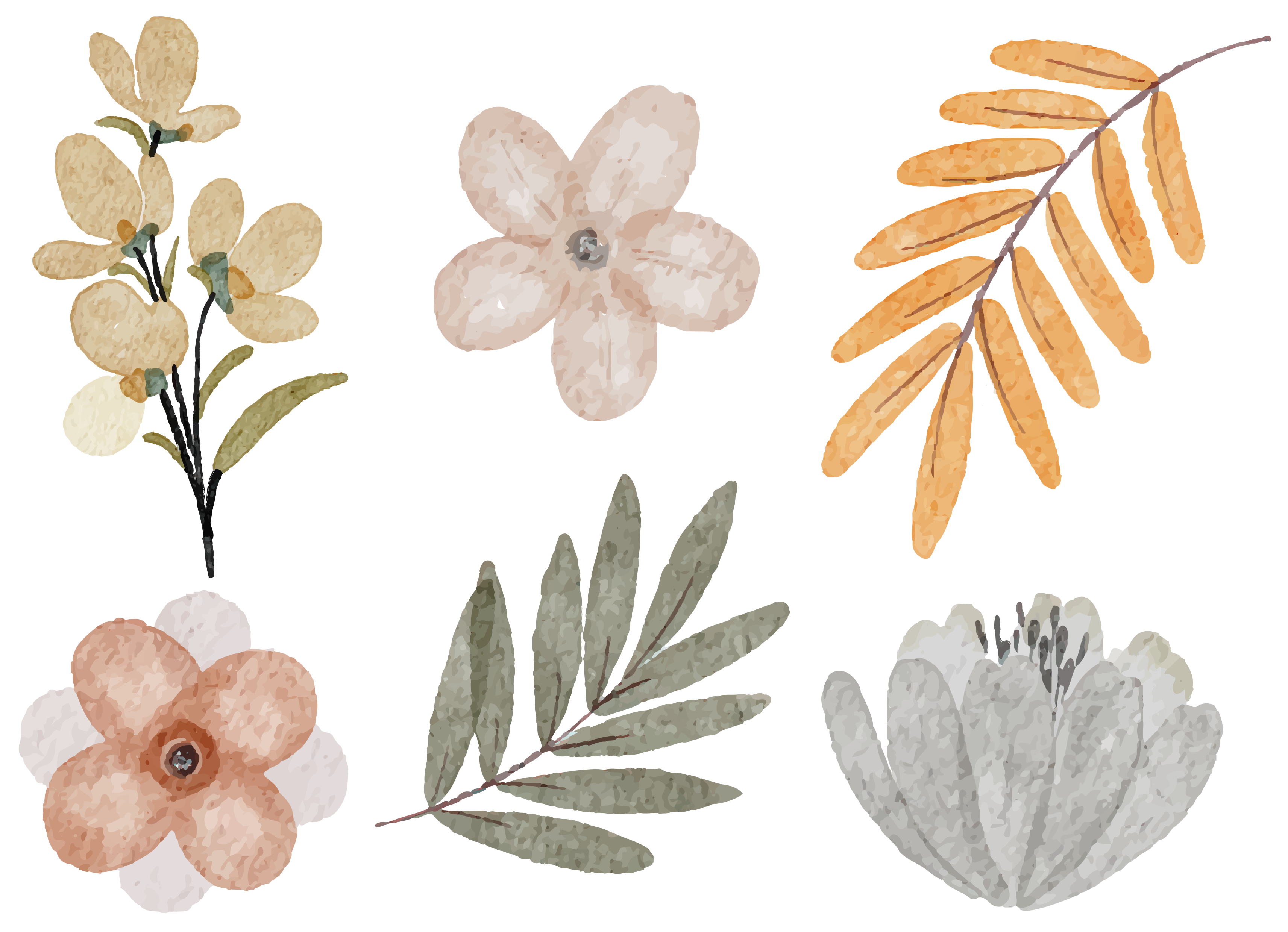 DISEÑO 35