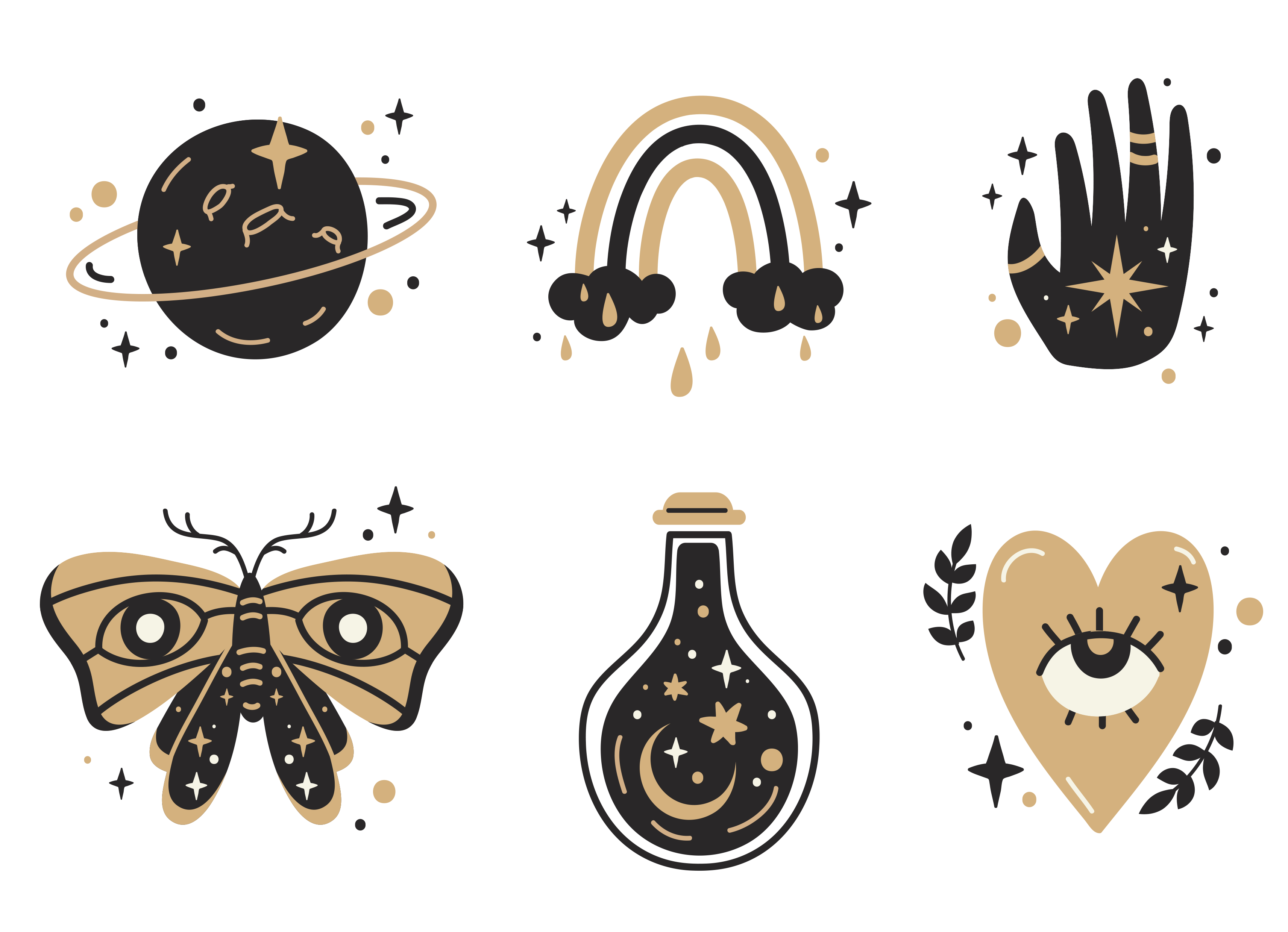DISEÑO 41
