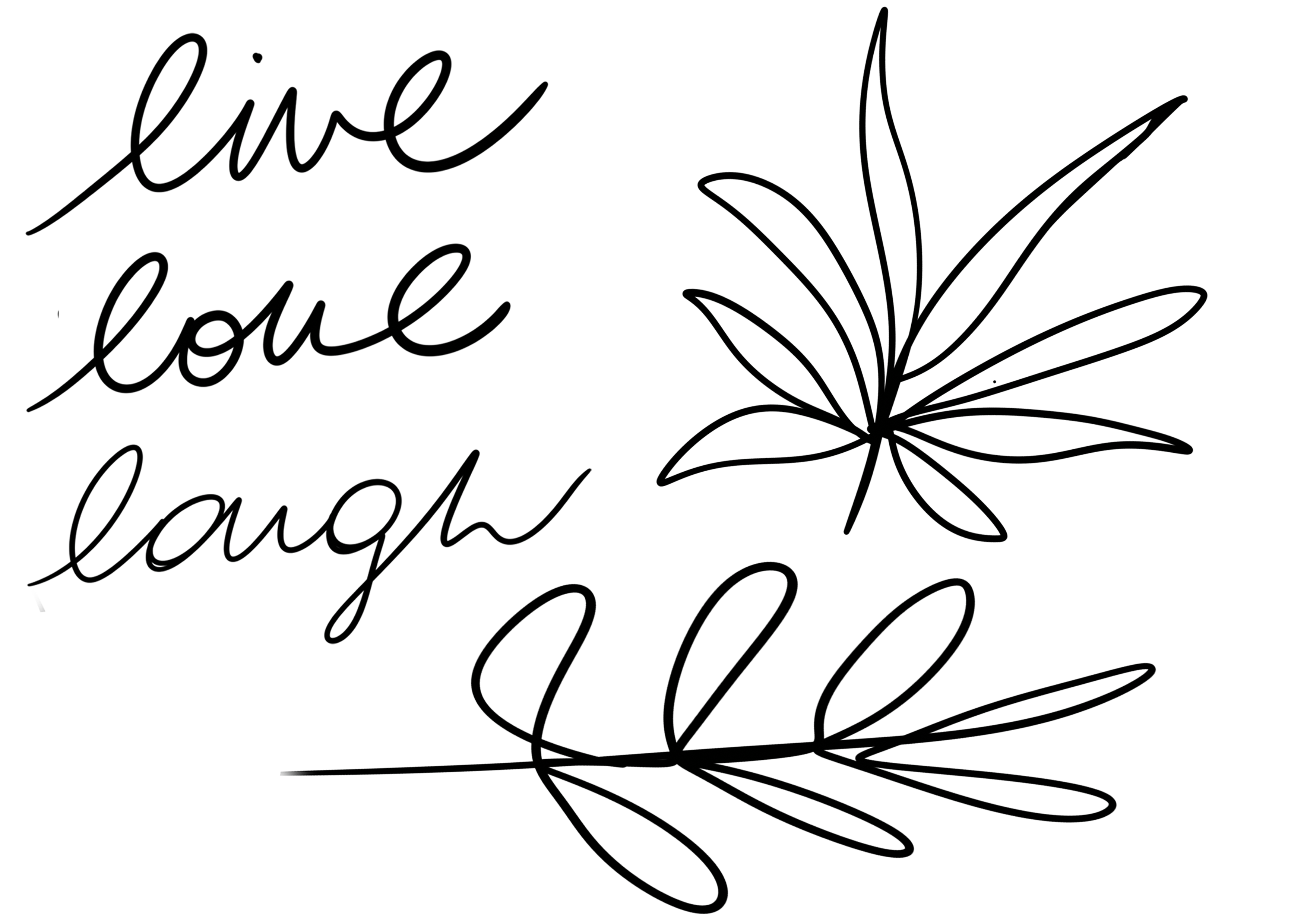 DECO 5