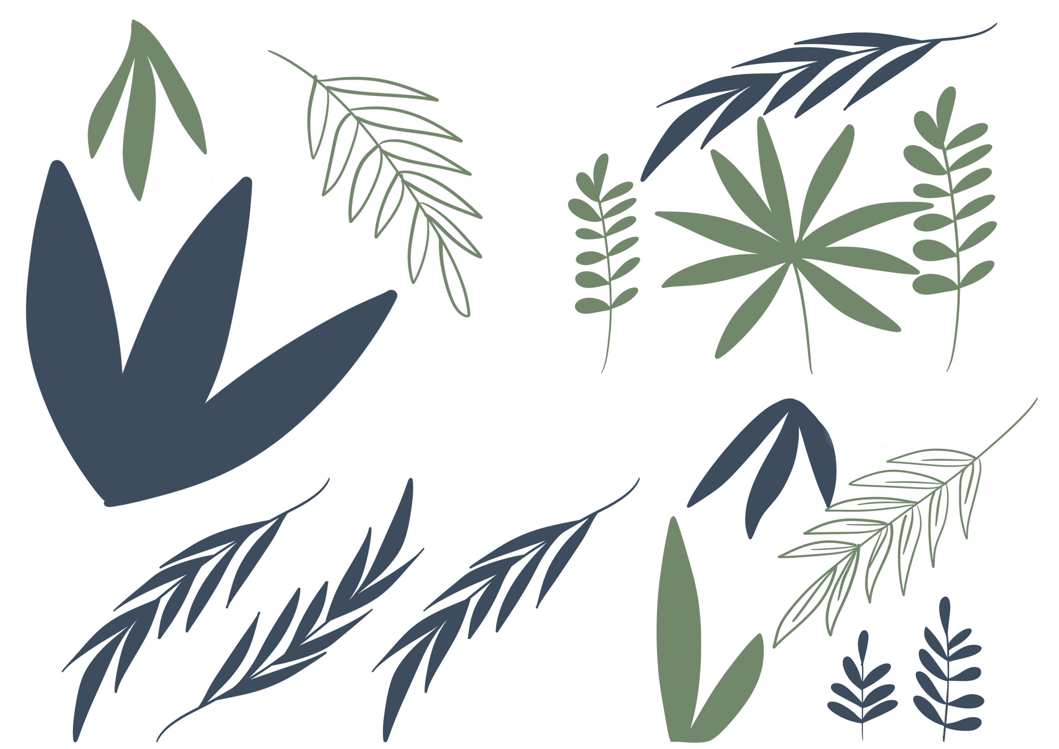 DECO 6