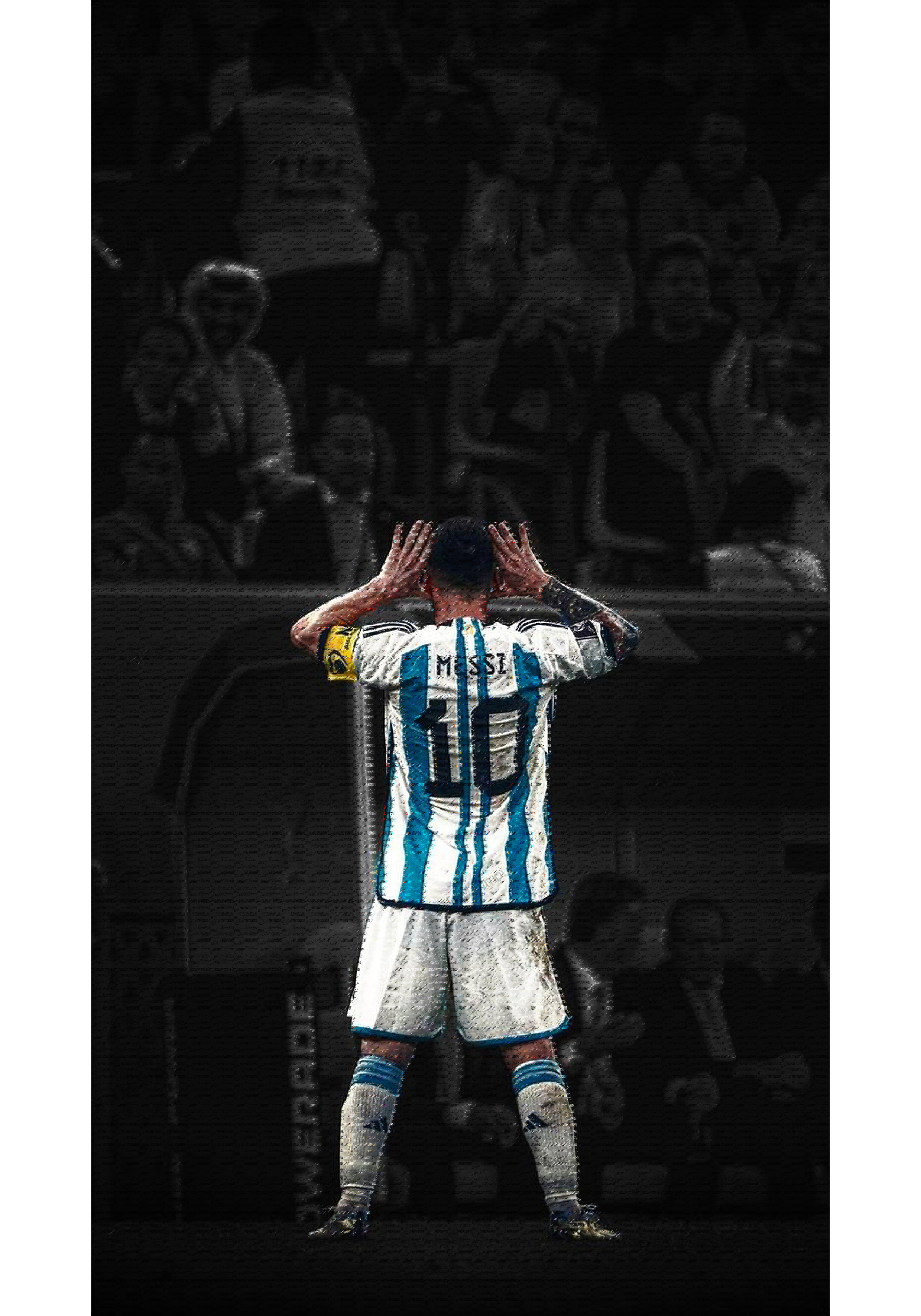 MESSI 29