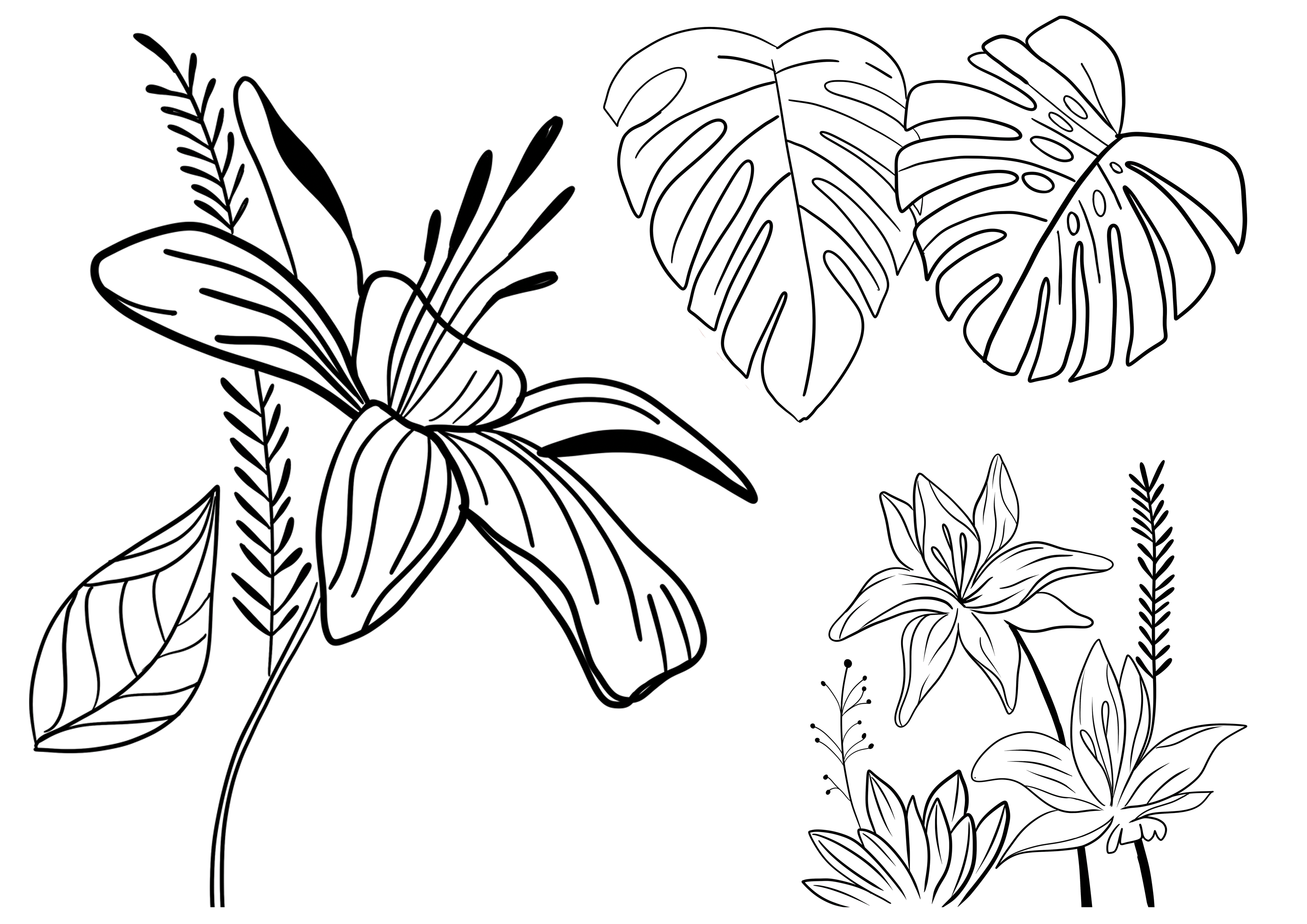 DECO 17