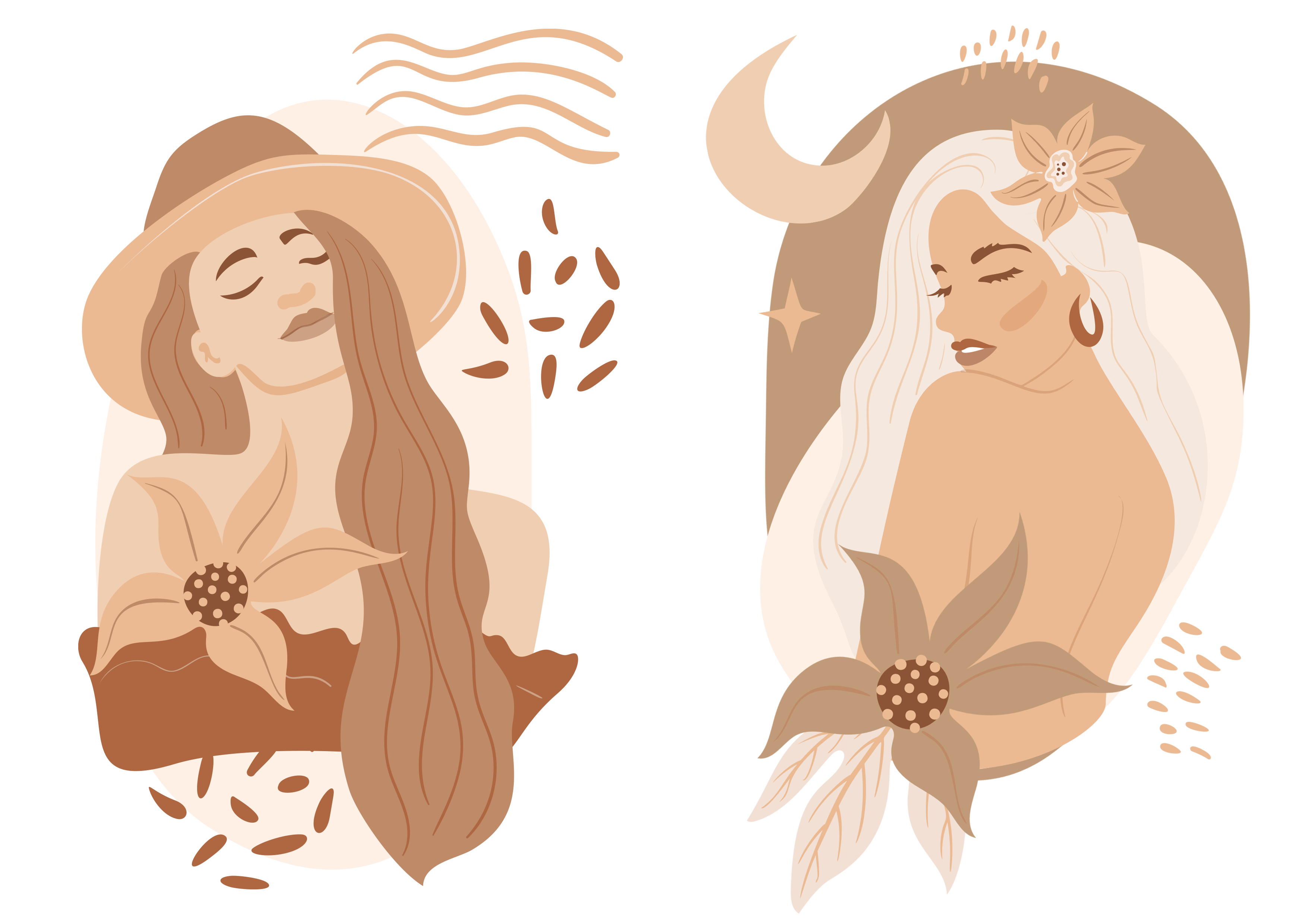 DISEÑO 55