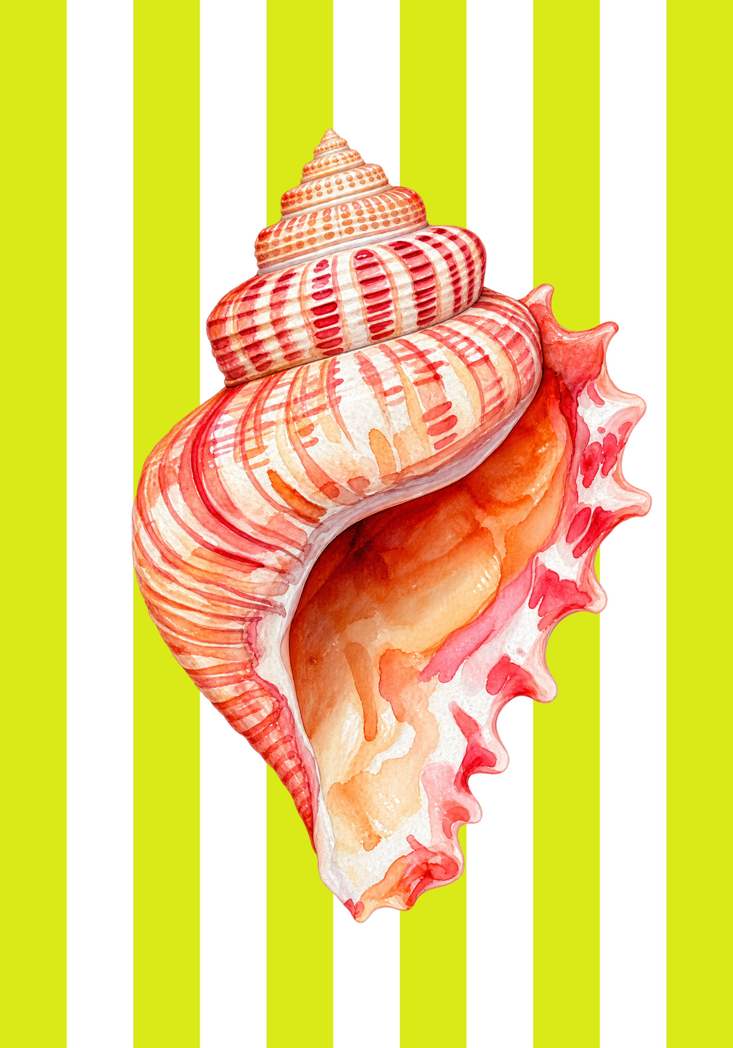 VERANO 62