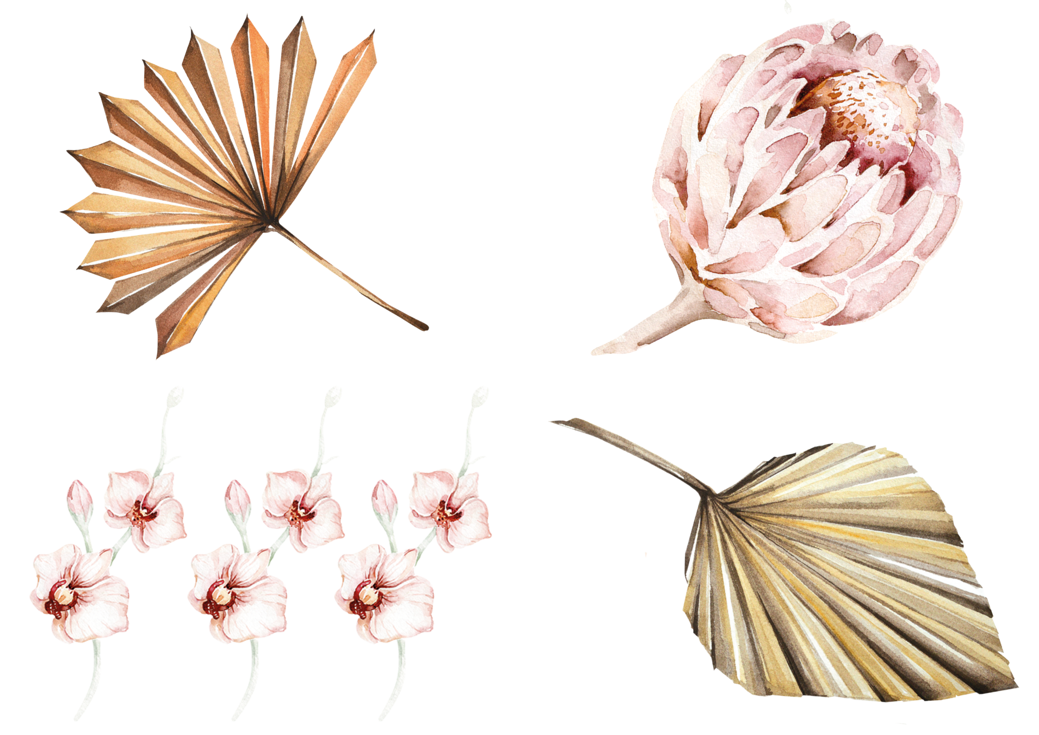 DECO 10