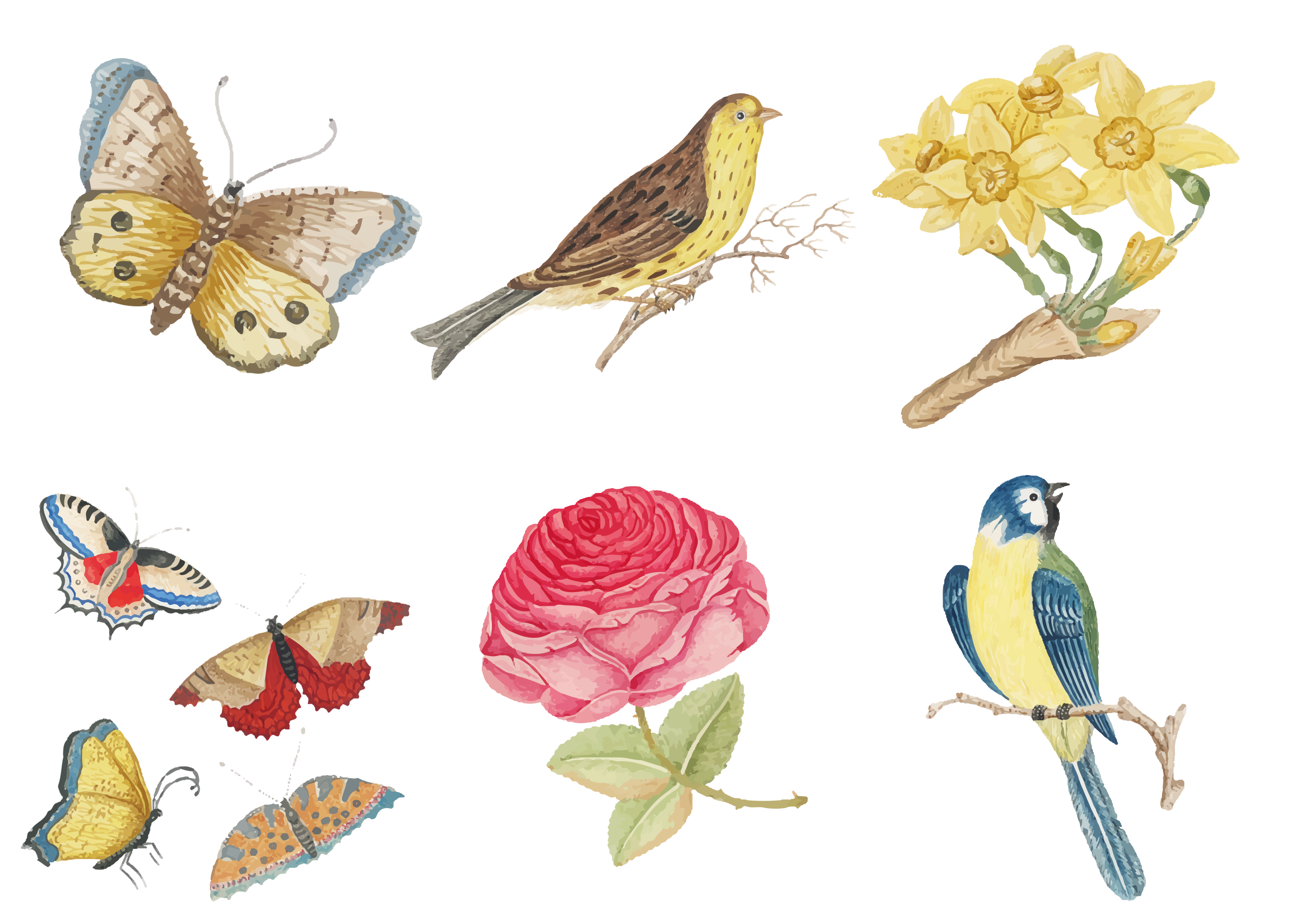 DECO 16