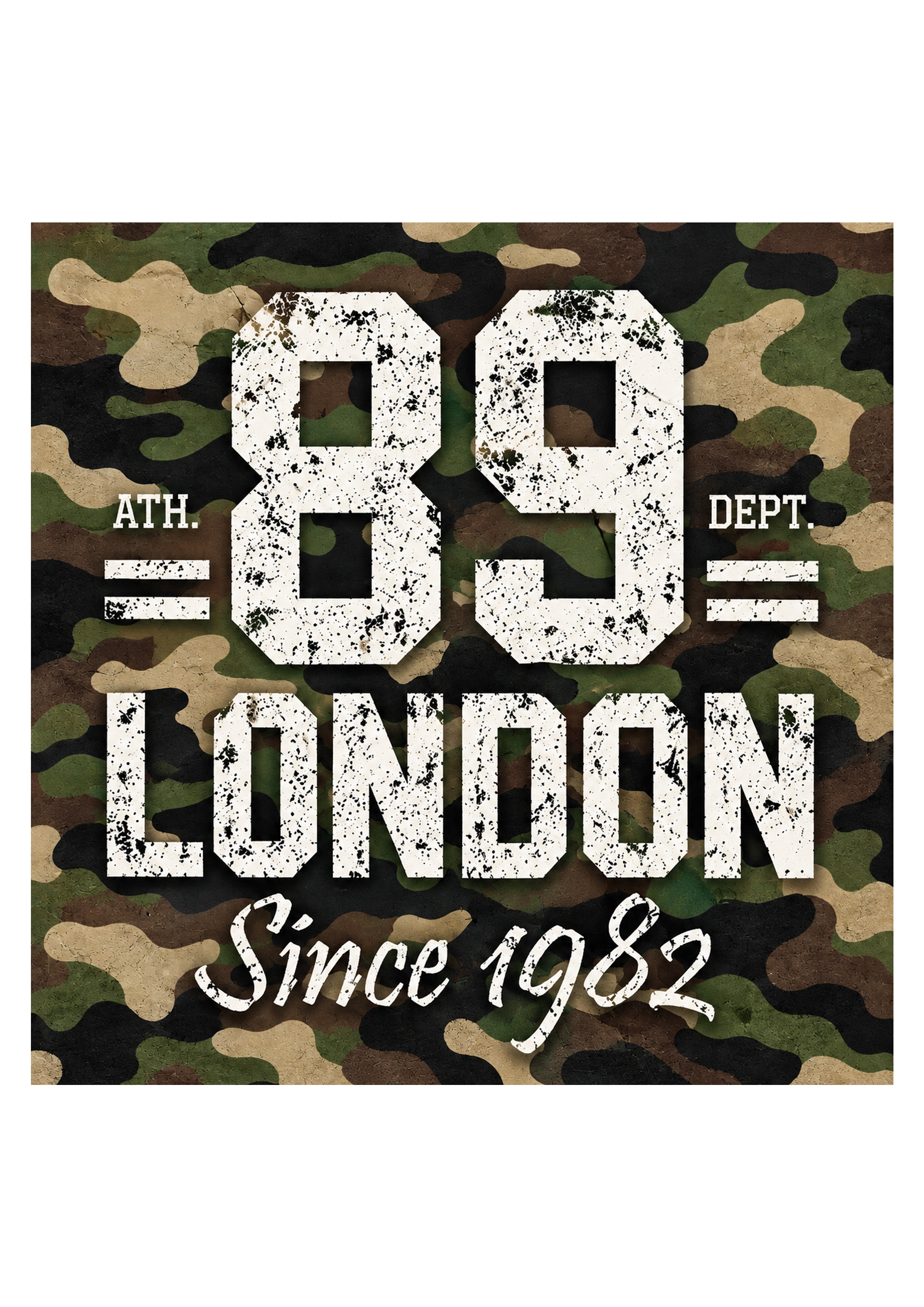 CAMUFLADO 10